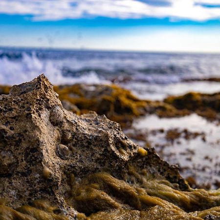 Sausset-Les-Pins, T2 Bord De Mer Екстер'єр фото
